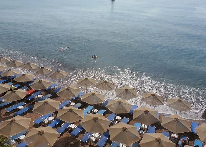 Paris Village Χράνοι